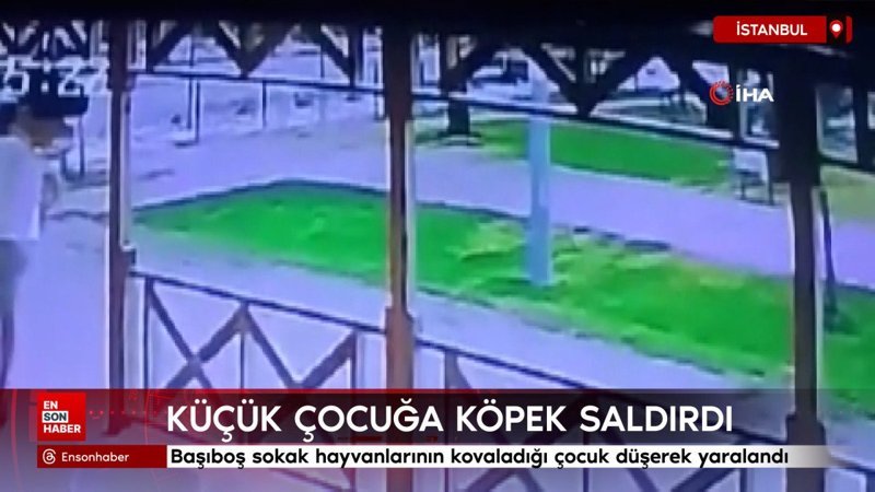 Arnavutköy'de başıboş sokak hayvanlarının kovaladığı çocuk düşerek yaralandı