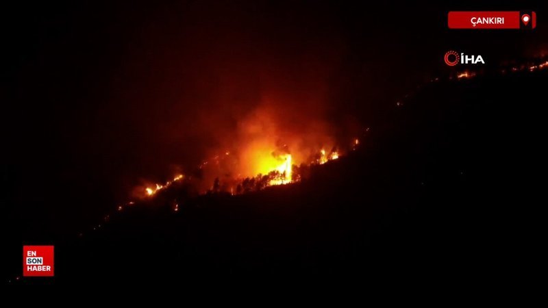 Çankırı'da orman yangını saatlerdir sürüyor