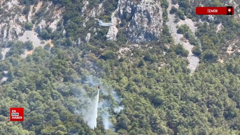 Menderes'te meydana gelen orman yangını kontrol altına alındı