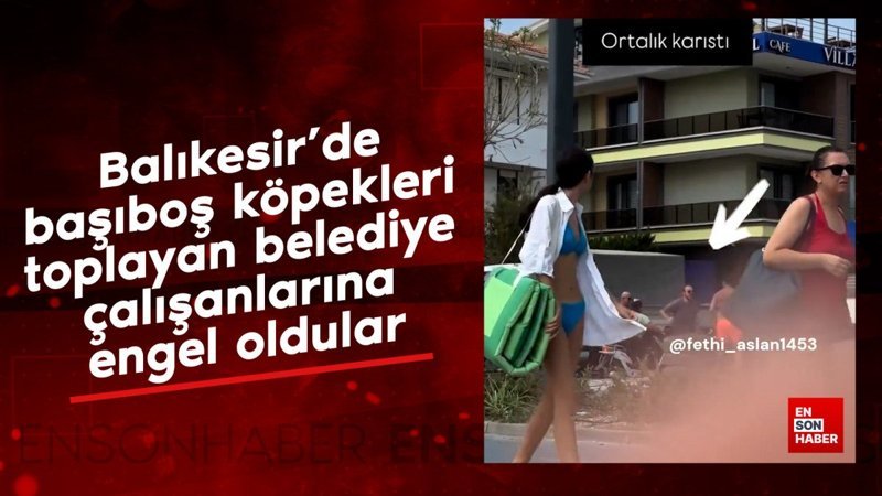 Balıkesir'de başıboş köpekleri toplayan belediye çalışanlarına engel oldular