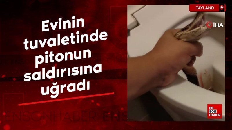 Tayland'da evinin tuvaletinde pitonun saldırısına uğradı