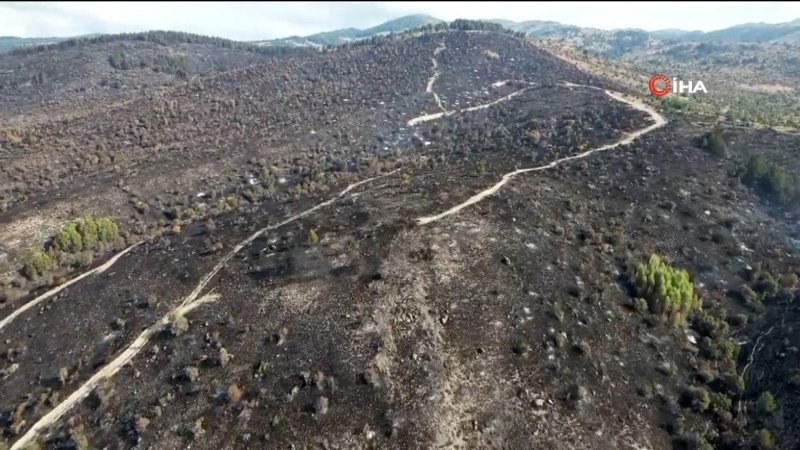 Bolu'daki orman yangınında hasar gören alan görüntülendi