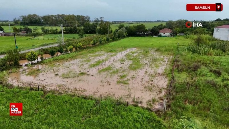 Samsun Bafra Ovası'nda tarım arazileri sular altında kaldı