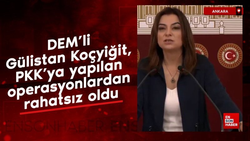 DEM'li Gülistan Koçyiğit, PKK'ya yapılan operasyonlardan rahatsız oldu