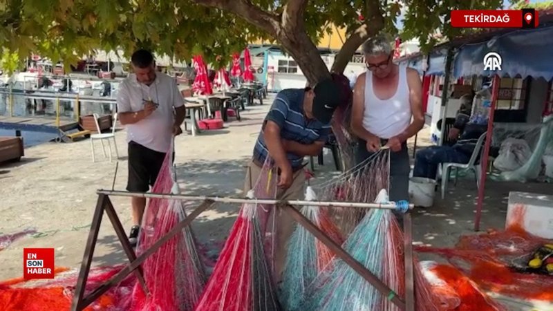 Bu sezon palamuttaki artışla birlikte balık tüketiminin de artması bekleniyor