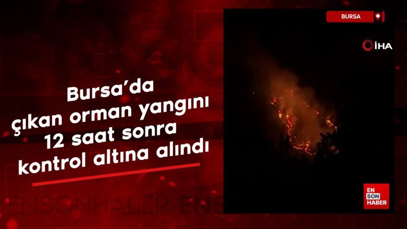 Bursa’da çıkan orman yangını 12 saat sonra kontrol altına alındı
