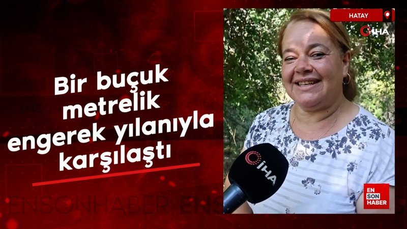 Hatay'da çiftçi kadın, incir toplarken bir buçuk metrelik engerek yılanıyla karşılaştı