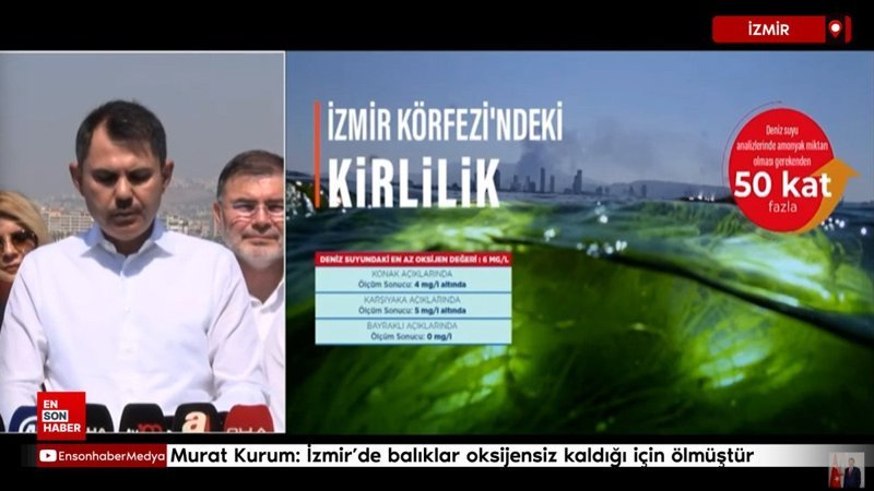 Murat Kurum: İzmir'de balıklar oksijensiz kaldığı için ölmüştür