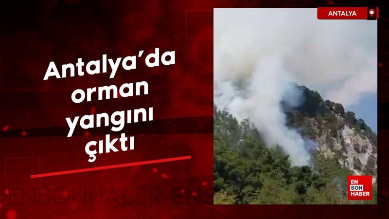 Antalya'da orman yangını çıktı