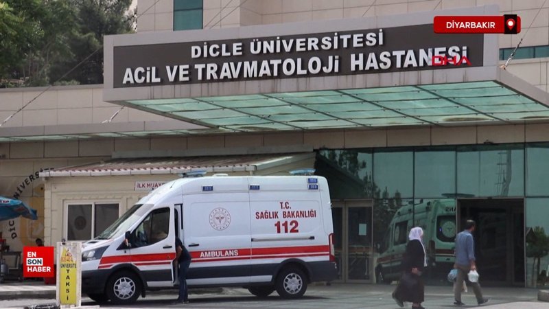 Diyarbakır'da otomobilin çarptığı Sultan, 24 günlük yaşam mücadelesini kaybetti