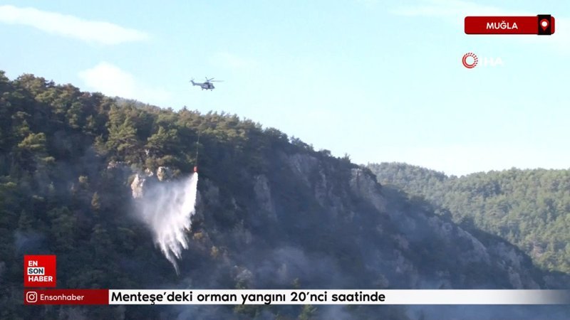 Menteşe'deki orman yangınına havadan müdahale ediliyor