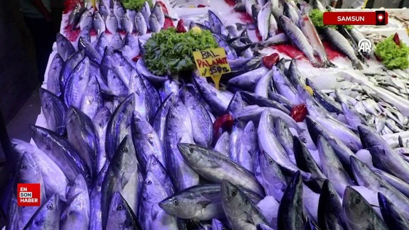 Karadeniz'de palamudun fiyatı 150 liraya çıktı