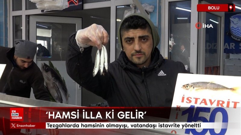 Bolu'da tezgahlarda hamsinin olmayışı, vatandaşı istavrite yöneltti