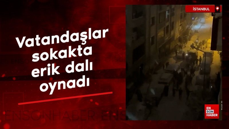 İstanbul'da vatandaşlar sokakta erik dalı oynadı
