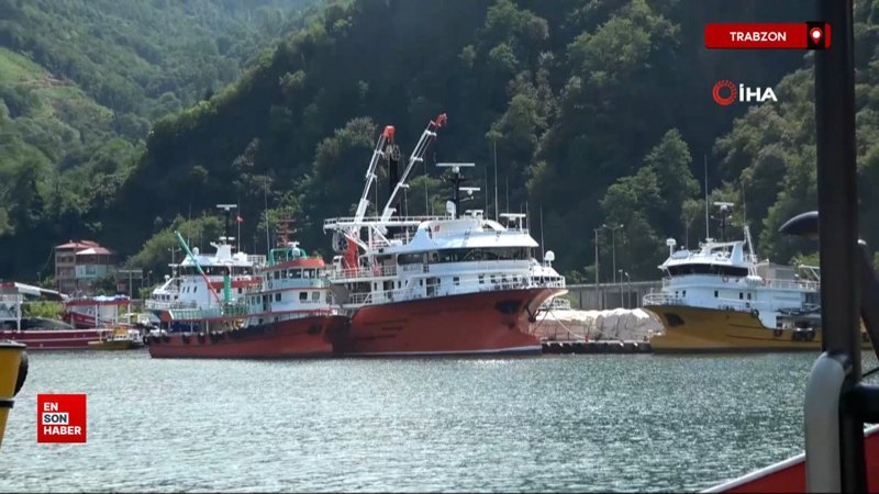 Trabzon'da rızıklarını okyanuslarda arıyorlar