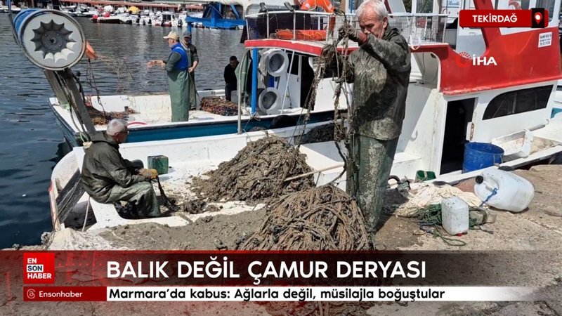 Marmara'da kabus: Ağlarla değil, müsilajla boğuştular