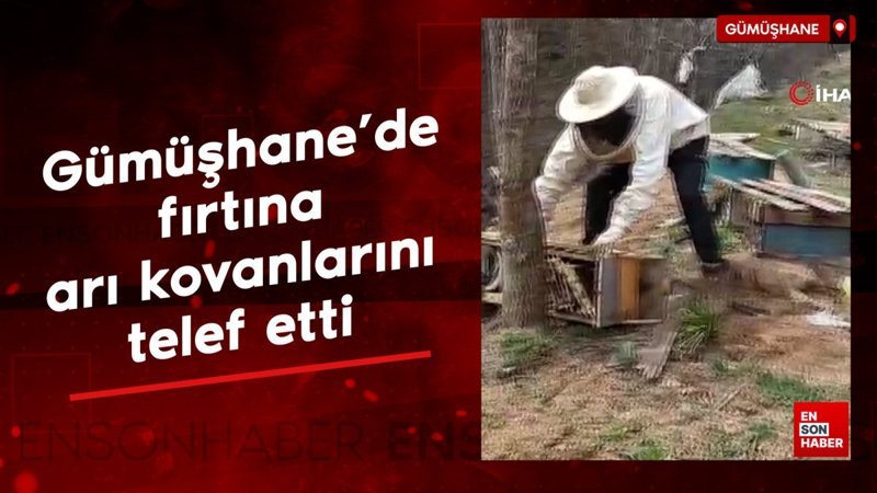Gümüşhane'de fırtına arı kovanları telef etti
