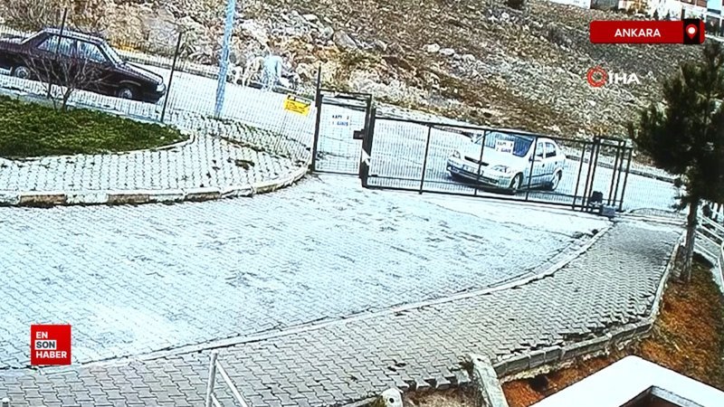 Ankara'da beslediği sokak köpekleri çocuklara saldırırken seyirci kaldı