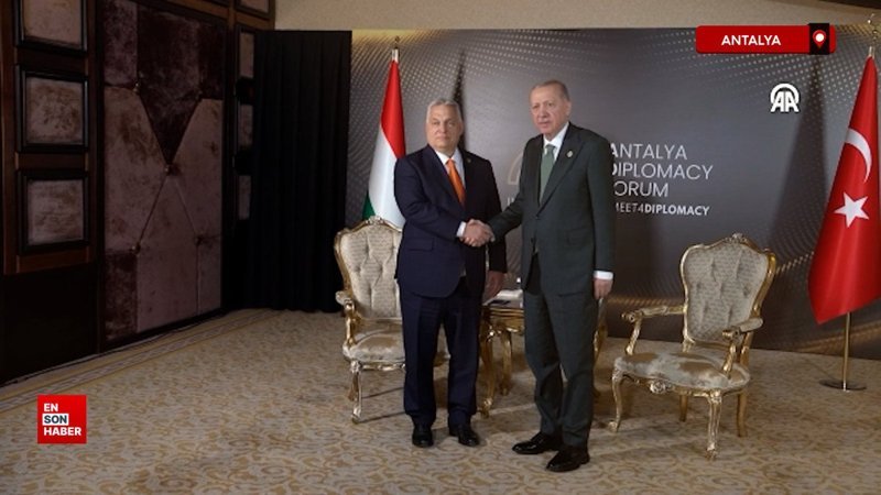 Cumhurbaşkanı Erdoğan'ın yoğun diplomasisi