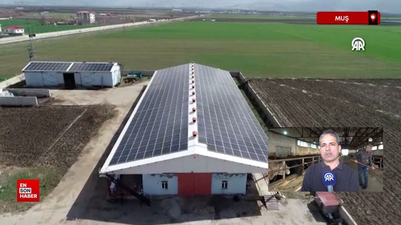 Muş'ta devlet desteğiyle kurduğu çiftlikte hem et hem de enerji üretiyor