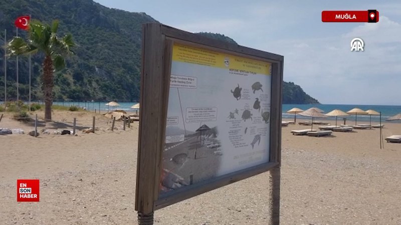 Muğla İztuzu Sahili'nde caretta carettalar için hazırlıklar tamamlandı