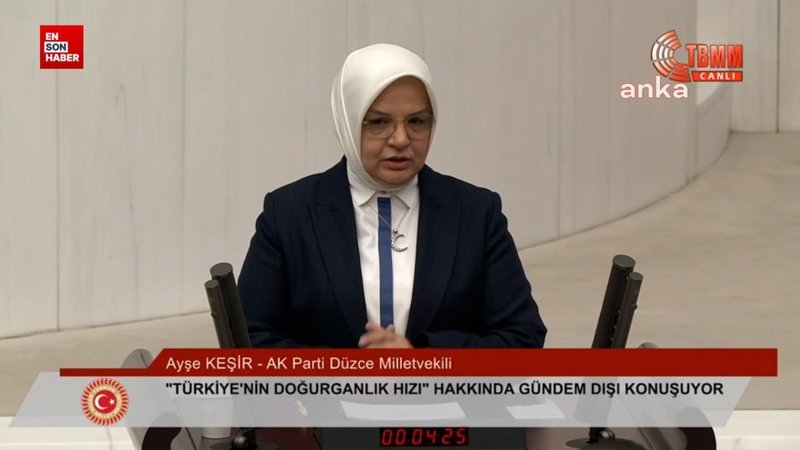 Ayşe Keşir: Türkiye’de doğurganlık hızı kritik eşiğin altında