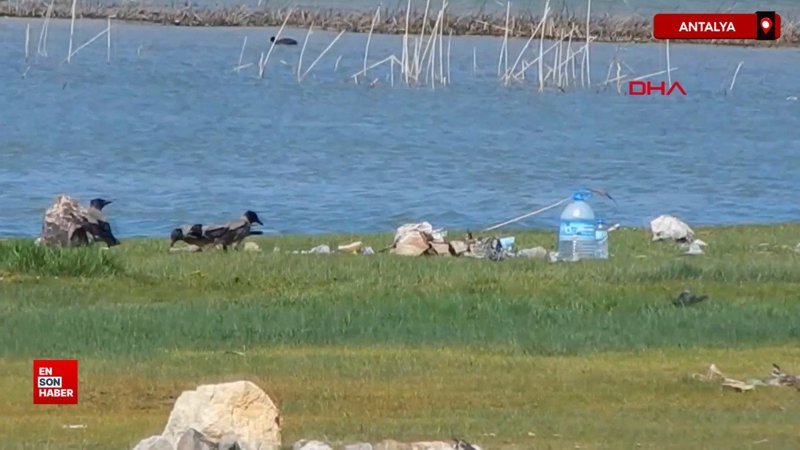 Antalya'da Eğrigöl Yaylası'nda ilk defa çiçekler açmadı