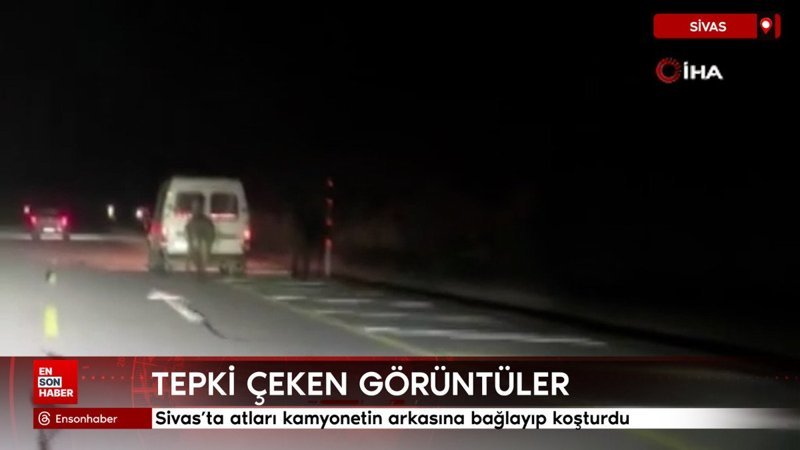 Sivas'ta atları kamyonetin arkasına bağlayıp koşturdu