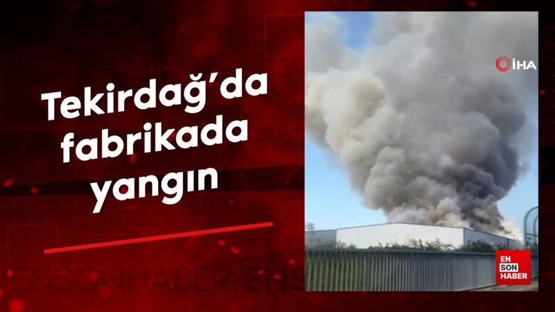 Tekirdağ'da fabrikada yangını: Dumanlar her yerden gözlendi