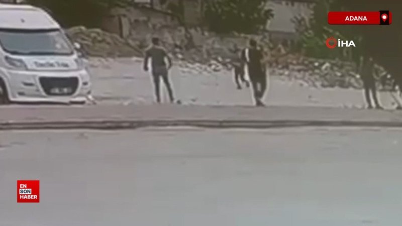 Adana'da sokak köpekleri çocuğa saldırdı