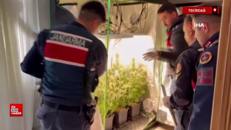 Tekirdağ'da elbise dolabı uyuşturucu serası çıktı