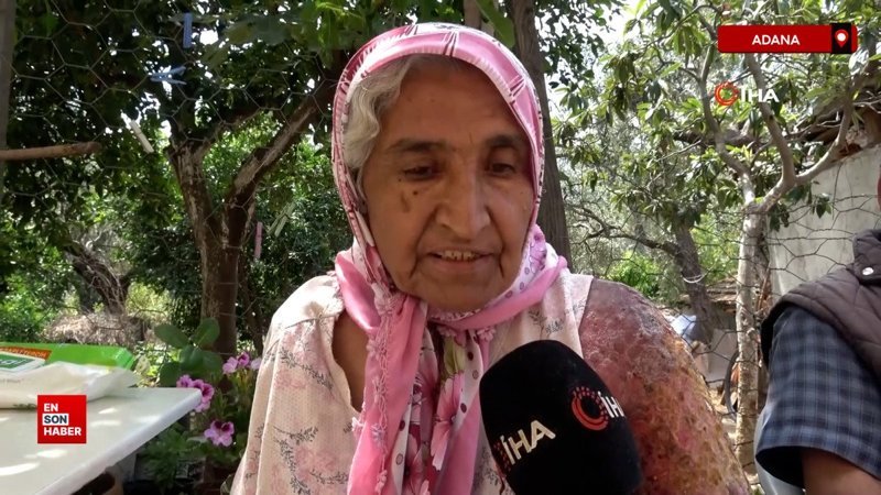 Adana'da kolu şişti, vücuduna kadar yara oldu