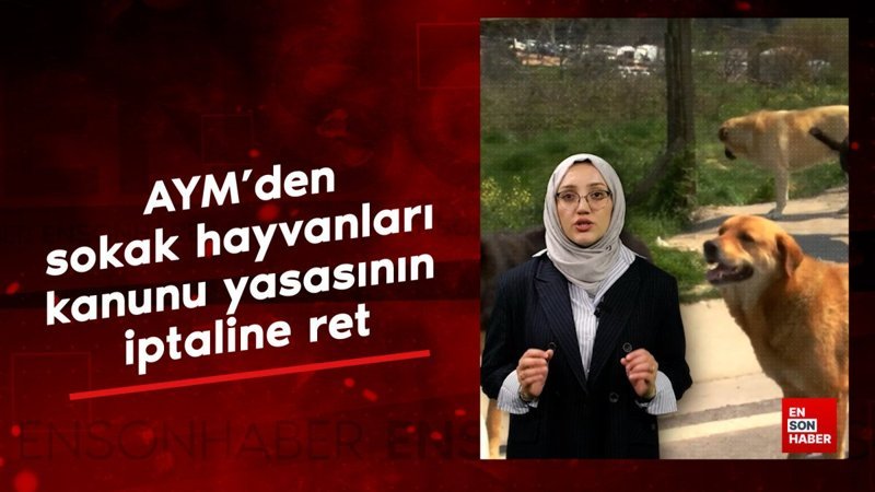 AYM'den sokak hayvanları kanunu yasasının iptaline ret