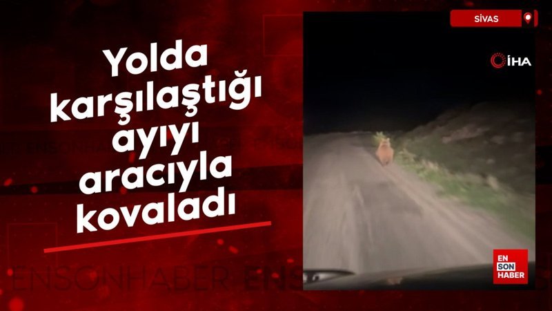 Sivas'ta yolda karşılaştığı ayıyı aracıyla kovaladı