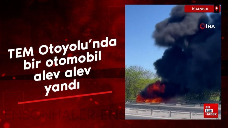 İstanbul TEM Otoyolu'nda bir otomobil alev alev yandı