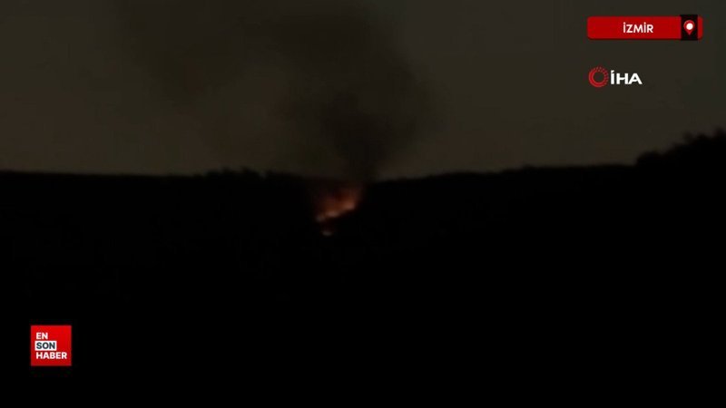 İzmir'de ormanı yakan 5 defineci tutuklandı