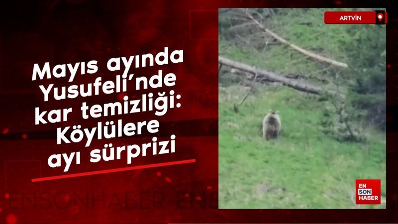 Mayıs ayında Yusufeli'nde kar temizliği: Köylülere ayı sürprizi