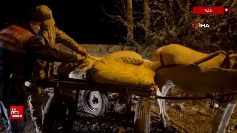 Van’da 3 ton 820 kilo kaçak avlanmış balık ele geçirildi