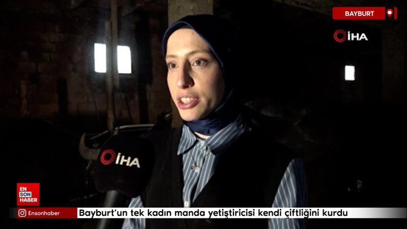 Bayburt'un tek kadın manda yetiştiricisi devlet desteğiyle kendi çiftliğini kurdu