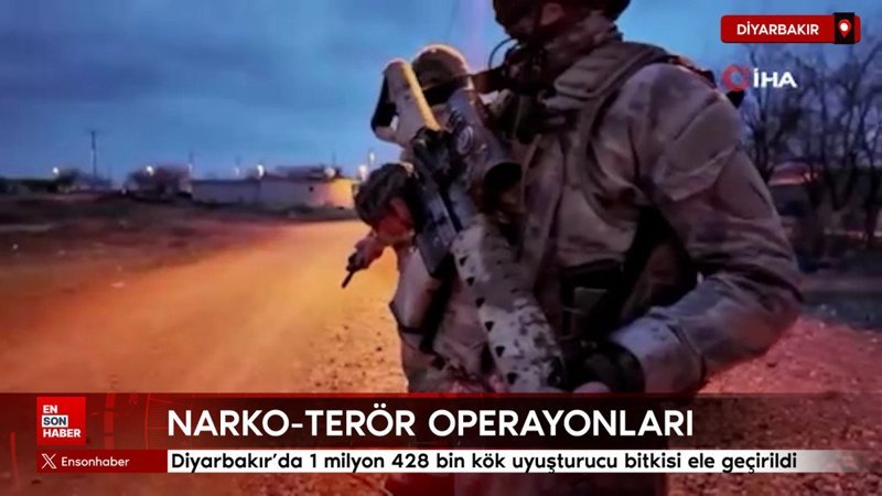 Diyarbakır'da 1 milyon 428 bin kök uyuşturucu bitkisi ele geçirildi
