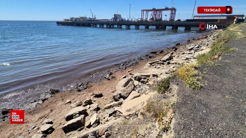 Marmara Denizi'nin Tekirdağ kıyılarında kızıl yosun birikintisi oluştu