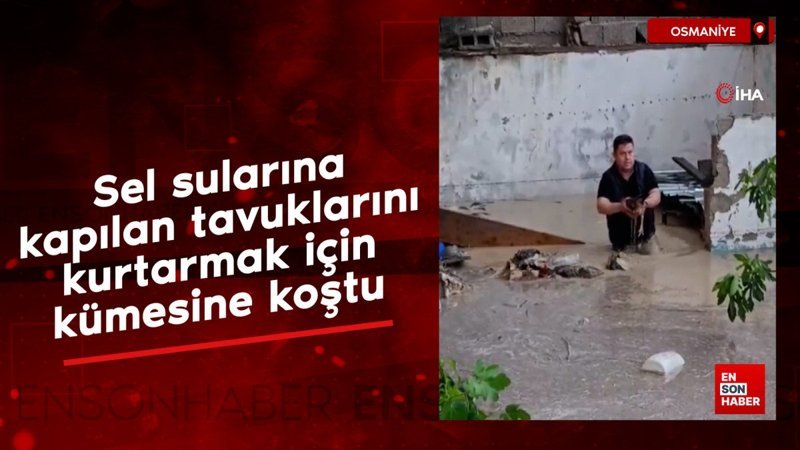 Osmaniye'de sel sularına kapılan tavuklarını kurtarmak için kümesine koştu