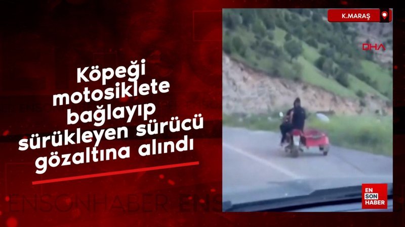 Kahramanmaraş'ta köpeği motosikletle sürükleyen sürücü gözaltına alındı