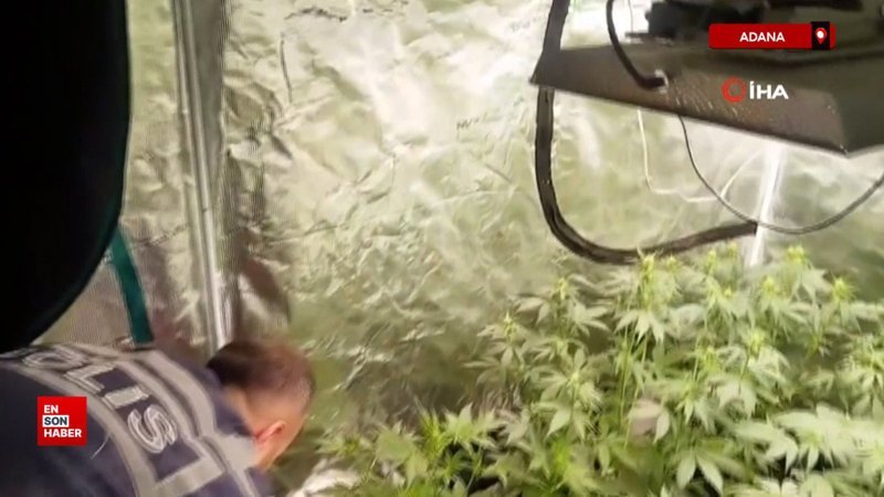 Adana'da apartman dairesine uyuşturucu serası kurmuşlar