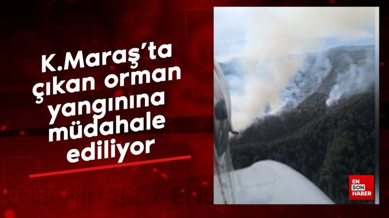 Kahramanmaraş'ta çıkan orman yangınına müdahale ediliyor