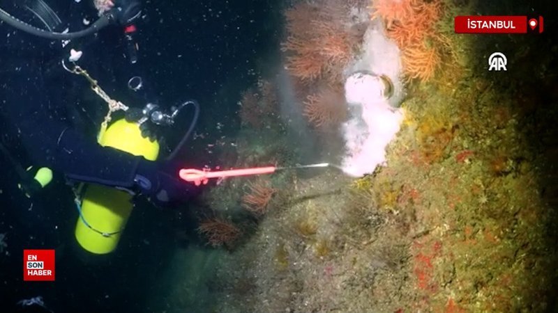 Marmara Denizi'nde çalışma yapan dalgıçlar, mercanları müsilajdan temizledi