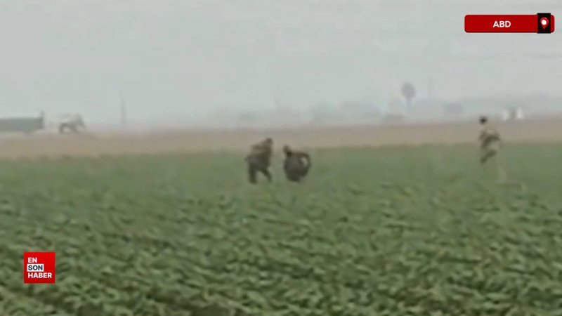 ICE, Kaliforniya’da tarlaya baskın düzenledi: Mevsimlik işçiler gözaltına alındı