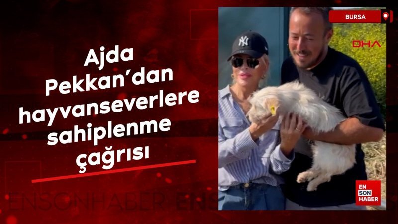 Ajda Pekkan’dan hayvanseverlere sahiplenme çağrısı