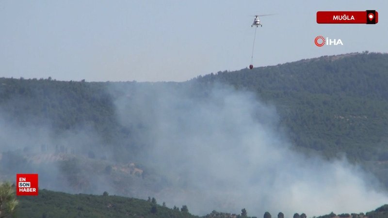 Muğla Menteşe'de orman yangını başladı