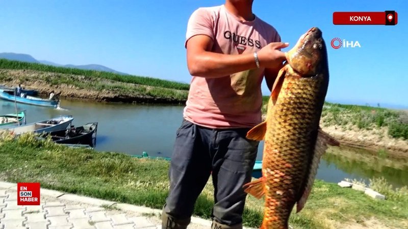 Beyşehir Gölü'nde av sezonu